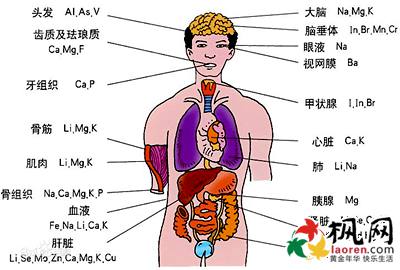肿瘤专家绘出人体癌症地图这12个器官最易患癌