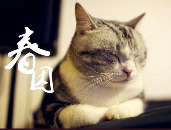 "春困秋乏夏打盹,睡不醒的冬仨月"春困"已悄然而至.