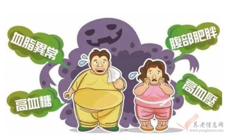 真的是“有钱难买老来瘦”吗？