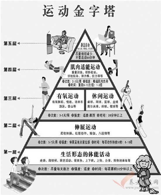 运动也有“金字塔”，看看你在第几层