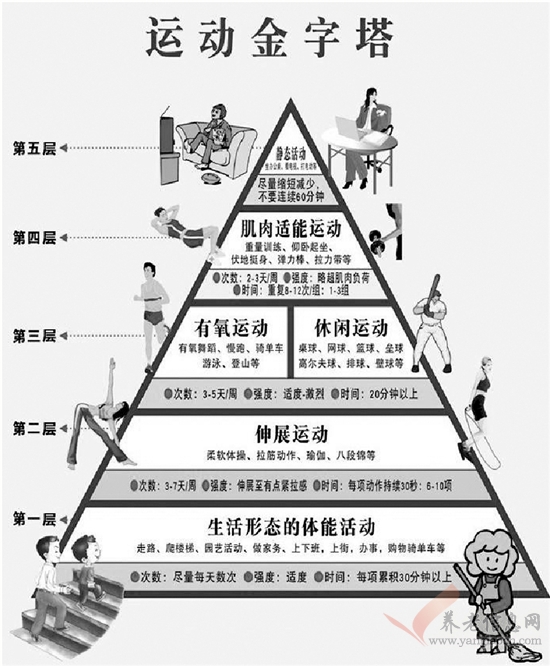 运动也有“金字塔”,看看你在第几层