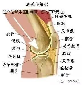 跑步虽好 跑错了会残疾 推荐一个更适合减脂人群的方法