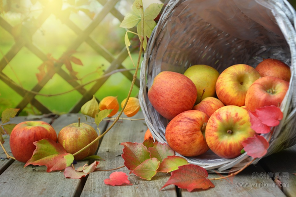 苹果加热后比生吃更营养，增加活性、减少胆固醇