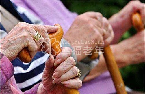“高端养老+温情服务”?130名老年人被骗355万