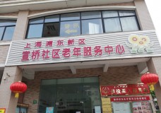 关于上海市浦东新区宣桥镇宣桥社区老年服务中心的介绍