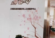 关于上海市浦东新区周浦镇桃源老年人日间照护中心的介绍