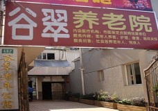 有关上海谷翠老年公寓的入住条件和要求