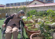 封闭管理期间,北京这个养老院的“开心菜园”为老人“治心病”