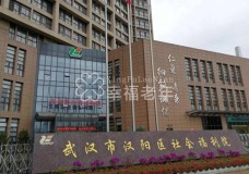关于武汉市汉阳区社会福利院分院的介绍