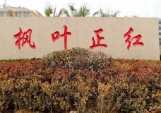 关于菏泽市牡丹区枫叶正红老年养护服务中心的介绍