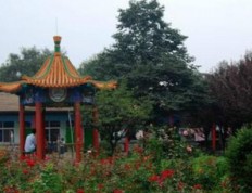 有关北京市通州区西集镇郎府敬老院的入住条件和要求