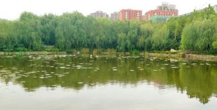 枣庄墨子森林公园养老中心