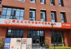 有关重庆市渝北区光大百龄帮·仙桃街道养老服务中心服务项目和服务内容