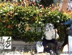 泪目！上海九旬老人瘫坐路边，步行8公里只为见老伴一面……