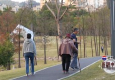 2.6亿老年人口，4200万失能老人，中国居家养老服务走向何方？
